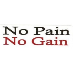 Виниловый стикер на шлем/мотоцикл "No pain no gain"
